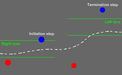 Stabilization Strategies for Fast Walking in Challenging Environments With Incomplete Spinal Cord Injury
